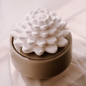 Porcelain Aromatic Diffusers