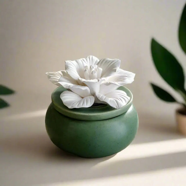 Porcelain Aromatic Diffusers