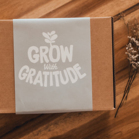 Grow With Gratitude Growing Kit